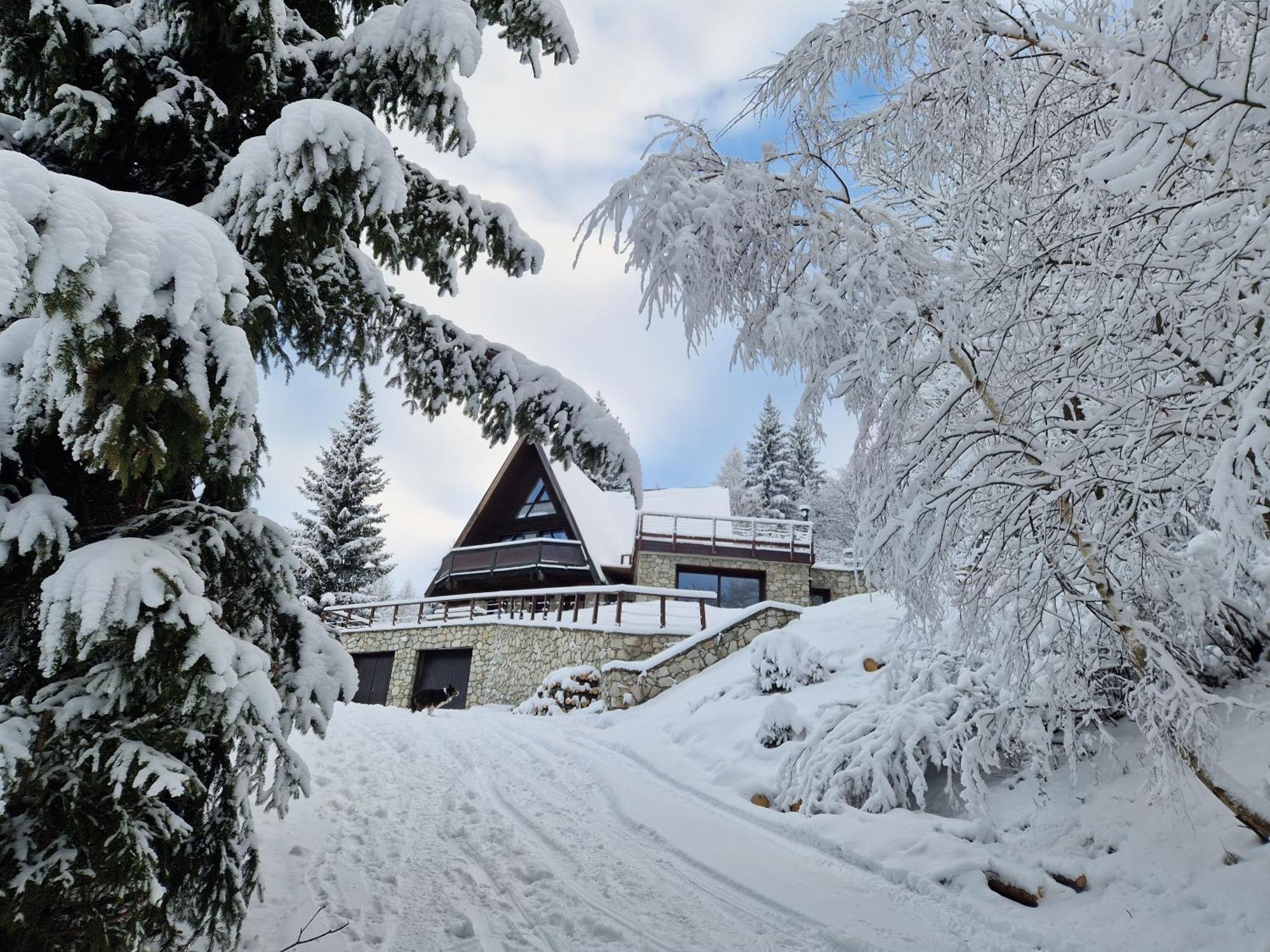 Le Chalet Pointu De Capucine Bourg-Saint-Maurice Buitenkant foto